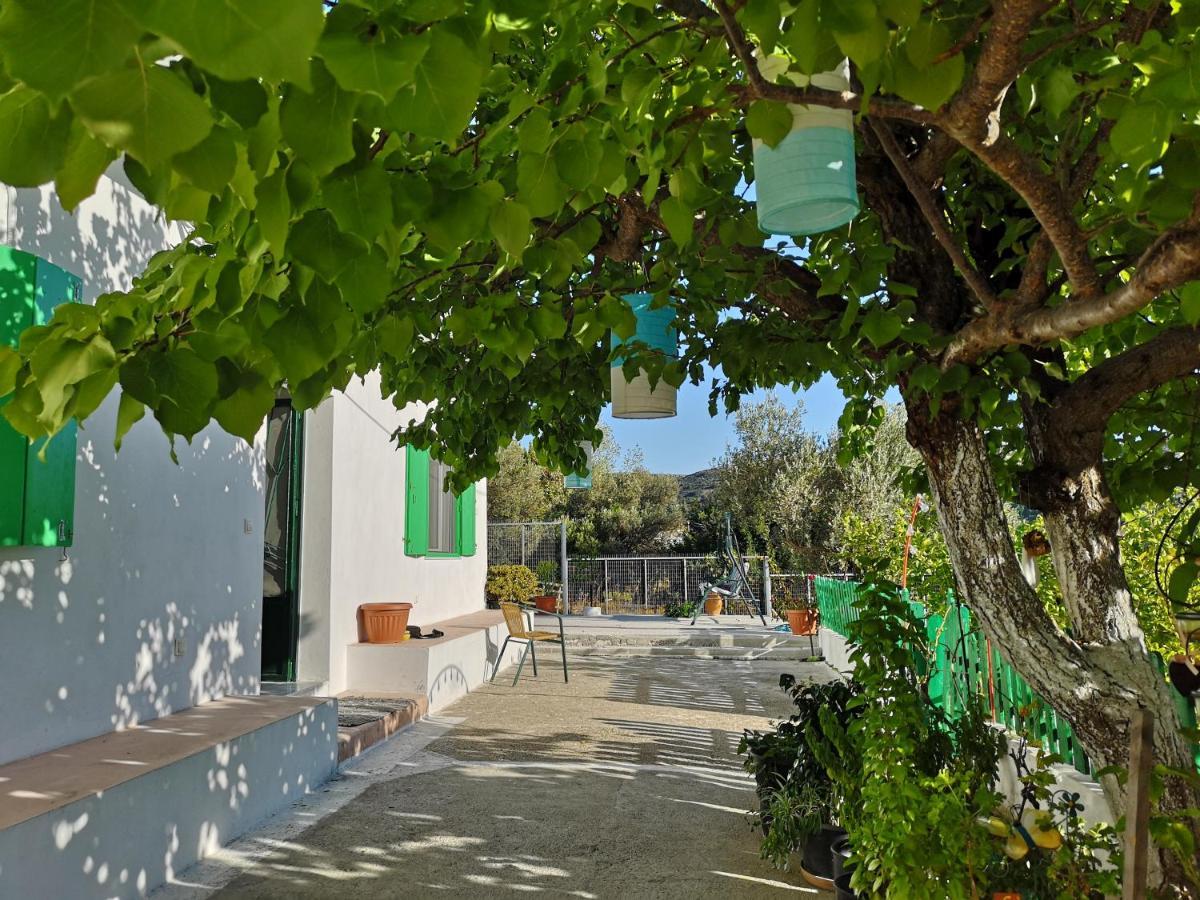 Maison De Village Au Calme - Alonia Village House Psinthos Luaran gambar