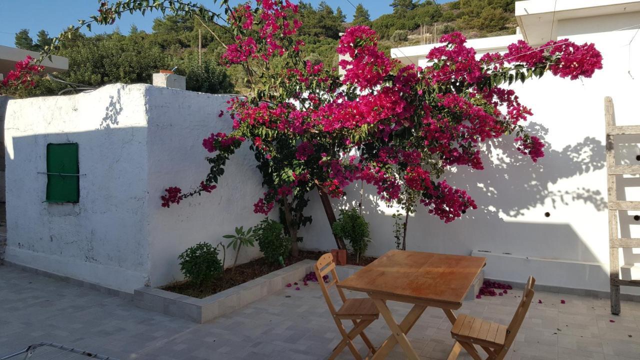 Maison De Village Au Calme - Alonia Village House Psinthos Luaran gambar